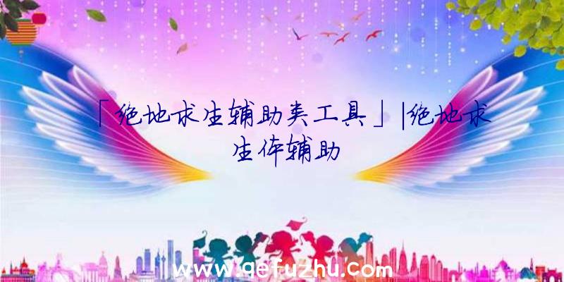 「绝地求生辅助类工具」|绝地求生体辅助